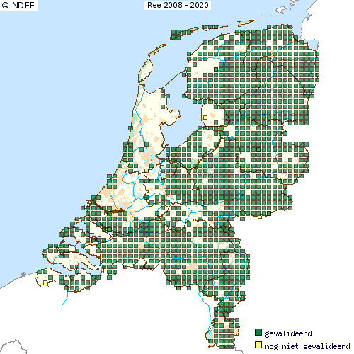 Voorkomen van reeën in Nederland (bron: NDFF, Telmee.nl)