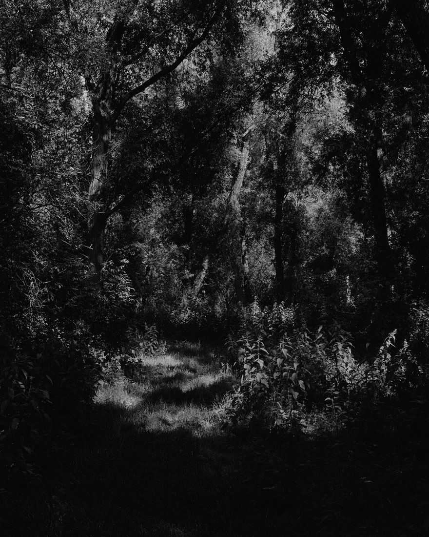 'Zonder Titel', Misha de Ridder, 2012 - Courtesy Galerie Juliètte Jongma