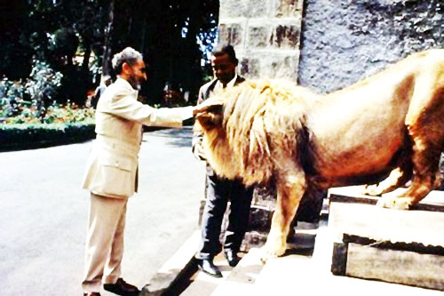 haile-selassie-i-lion1