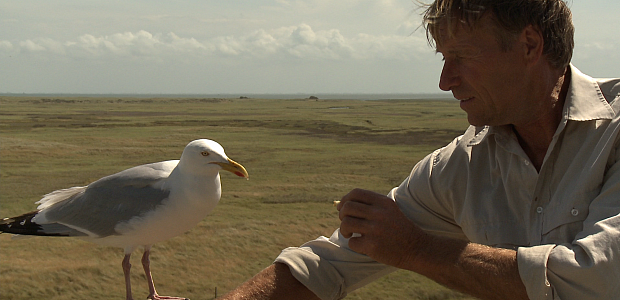 still_oene_voert_kobus_620x300