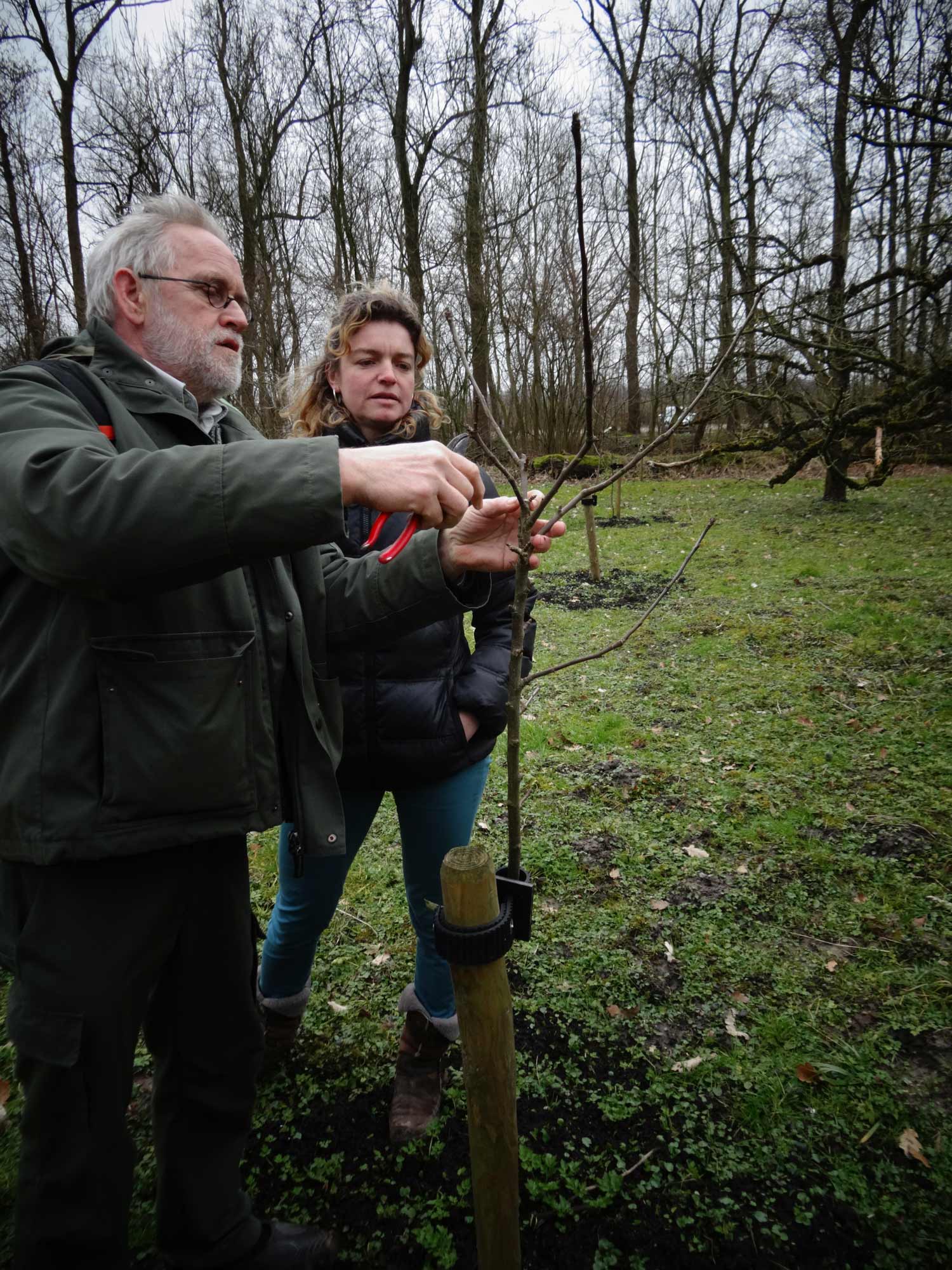 snoeien op Allersmaborg