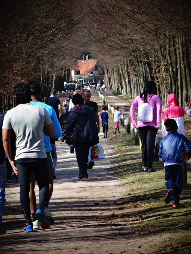 naar de boschwachter