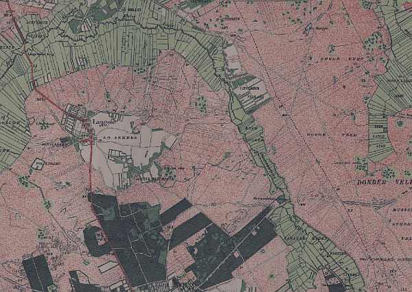 Het nog oneindige heidelandschap rond Norg in 1900. Ook de eerste aanleg van bossen op de stuifzanden is te zien. 