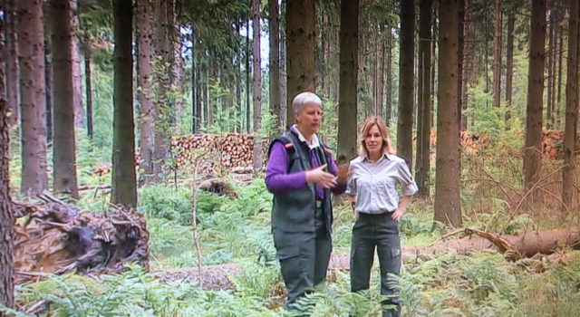 Met BinnensteBuiten op zoek naar dassen in Hart van Drenthe!