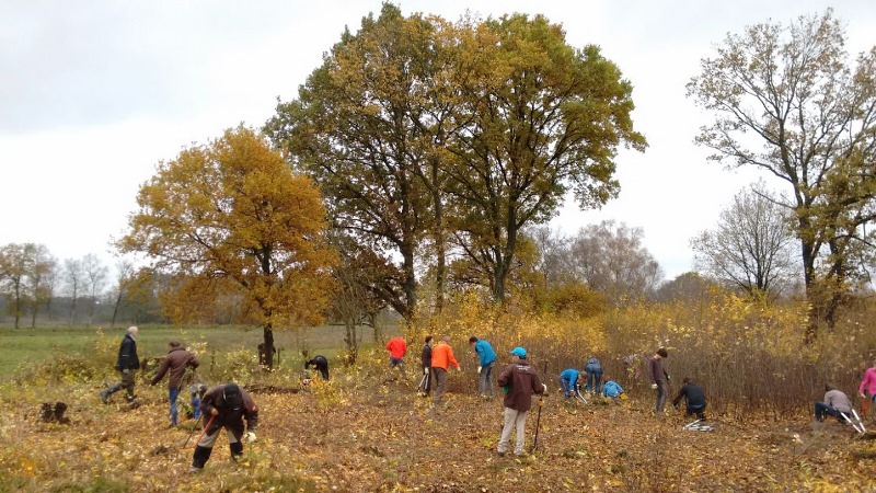 Natuurwerkdag Drentsche Aa