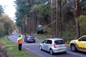 Boemen worden omgezaagd voor de verkeersveiligheid