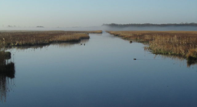 De Onlandse Wijk in najaar 2016. Foto: Aaldrik Pot