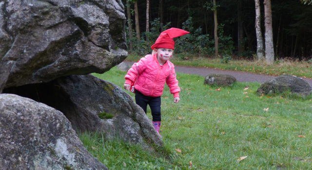 kabouters in de Drentse bossen