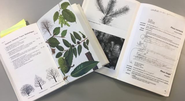 De Elseviers bomengids en het Boek Bosplantsoen van IPC groene ruimte met mijn aantekeningen van de lagere bosbouwschool