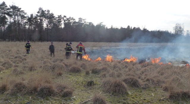 gecontroleerd heide branden