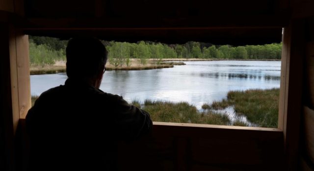 Het uitzicht vanuit de nieuwe vogelkijkhut aan de Stobbenplas