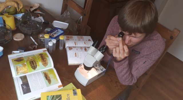 determineren aan de keukentafel