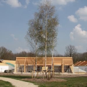 Nieuwbouw nabij Noordsche Veld in de Kop van Drenthe