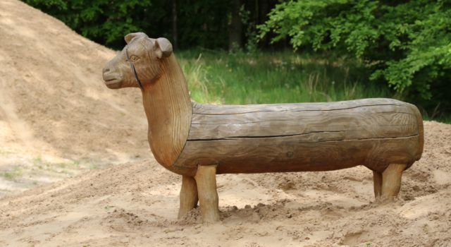 Het nieuwe zand maakt de poten van de schapen weer in proportie