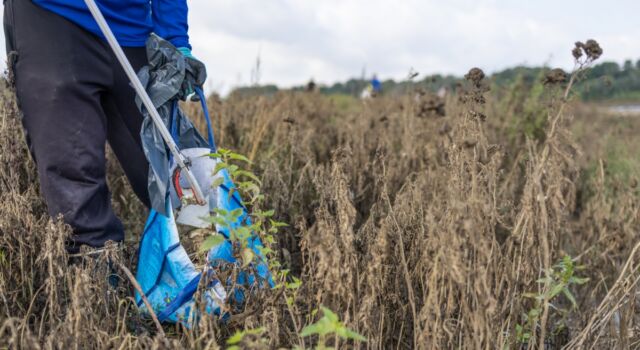 Steeds meer mensen gaan met grijper en afvalzak de natuur in (foto: Marco van de Burgwal)