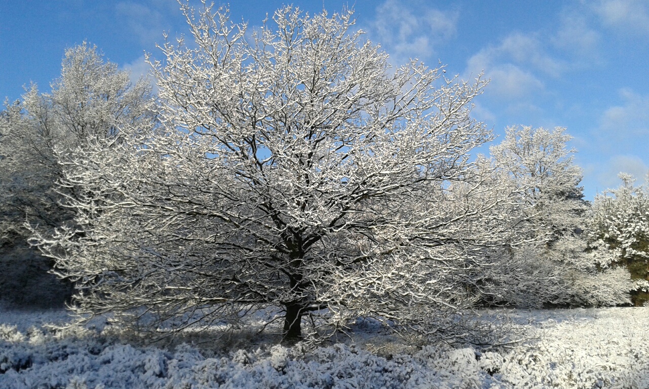 sneeuw6