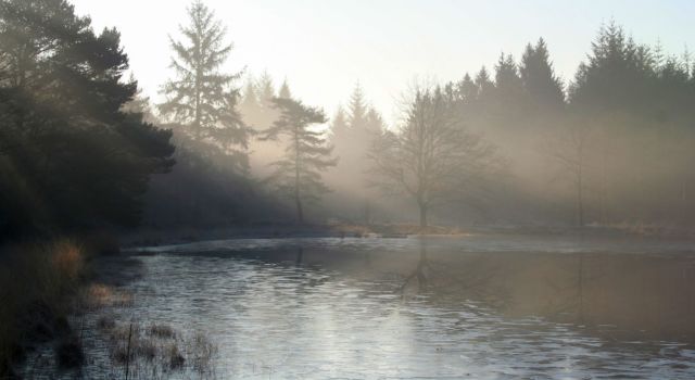 Vennetje Drents-Friese Wold