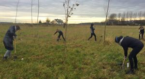 Planten voedselbos Houtrak