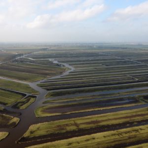 Fotograaf: Tom Kisjes - De polder Zeevang
