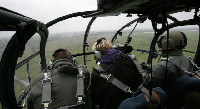 helikoptertelling in de Oostvaardersplassen in oktober 2015