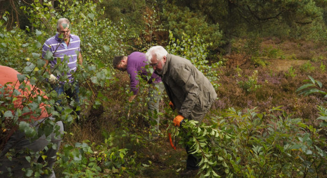 Vrijwilligers aan het werk op de Sallandse Heuvelrug. Foto: Adri Kodde