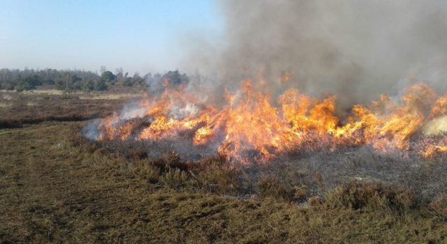 Het heide branden gebeurt op kleine schaal op meerdere plekken. Foto: Arie Rouwhof