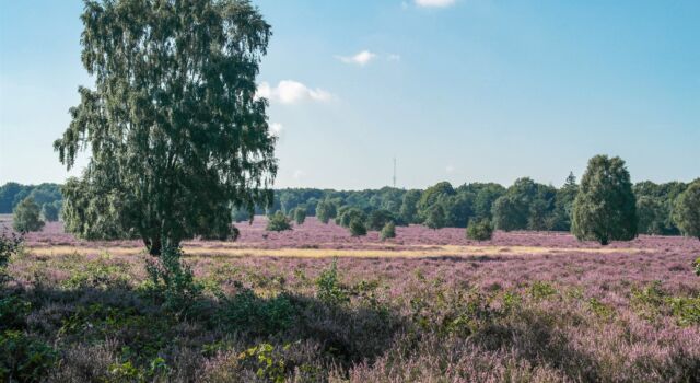 De Paardenslenkte. Foto: Jeroen Buunen