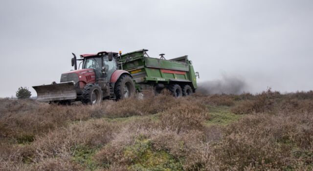 Het opbrengen van steenmeel met behulp van trekker en mestverstrooier is niet nieuw. Eerder al werd steenmeel opgebracht op grote delen van de Sallandse Heuvelrug. Foto: Marco van de Burgwal