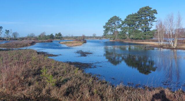 De slenken in Punthuizen staan vol water | Foto: Henk-Jan van der Veen