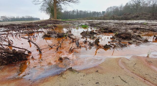 IJzerrijk kwelwater in natuurontwikkelingsperceel Stroothuizen | Fptp: Henk-Jan van der Veen