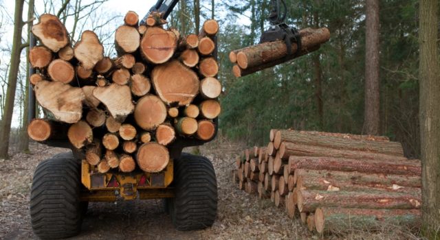 Uitrijder hout