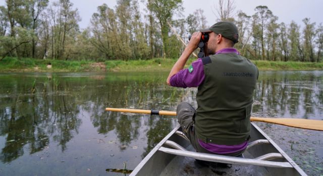 Boswachter Daan Meeuwissen in de Millingerwaard