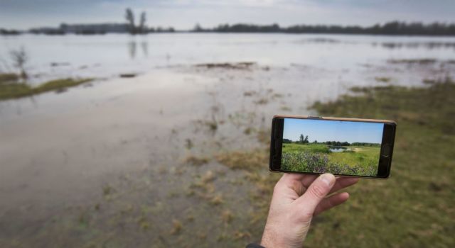 Hoogwater in de Gelderse Poort (foto: Werry Crone)