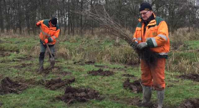 Planters aan het werk