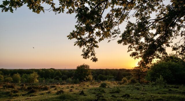 Mulderskop bij zonsondergang, foto: Twan Teunissen