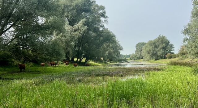 Geuzenwaard, foto: Twan Teunissen