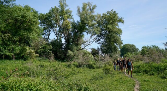 Wandelaars in de Millingerwaard, foto: Twan Teunissen