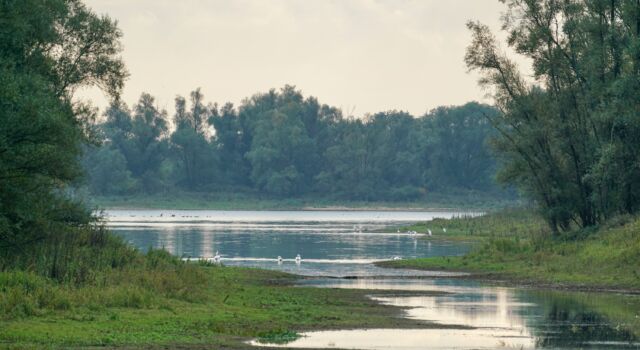 Millingerwaard, foto: Twan Teunissen