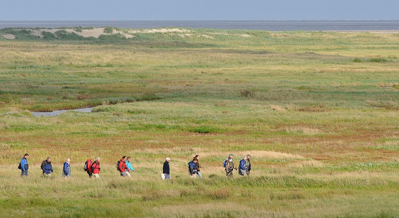 Excursiedeelnemers op het eiland. Foto: Henk Mellema