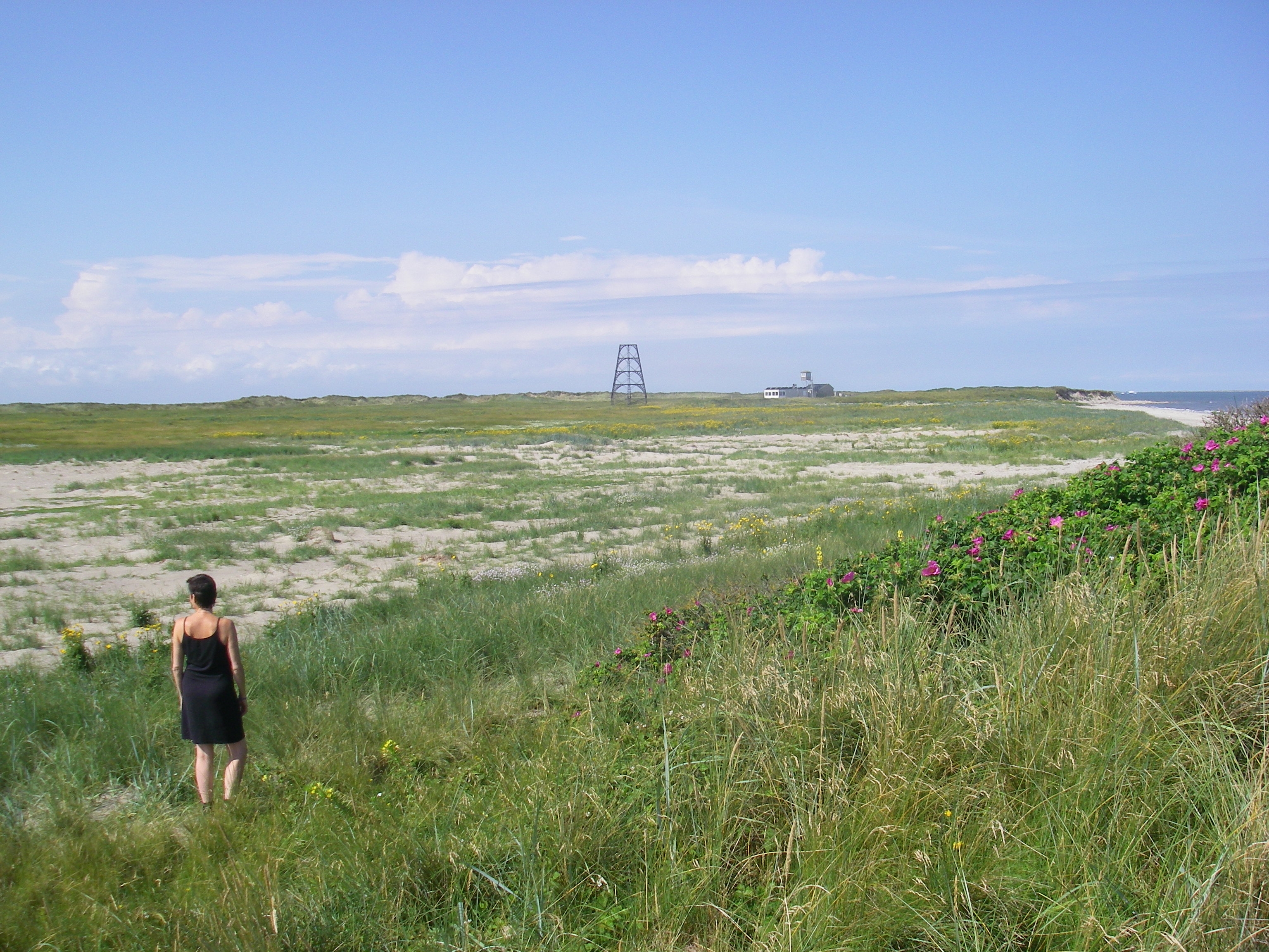 Dagarrangement in augustus.