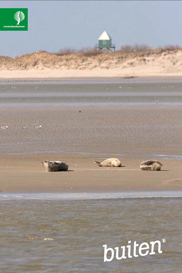 het fotodoek van Rottumerplaat