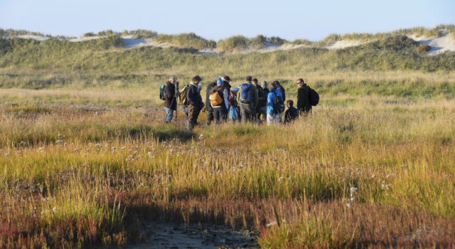 Met de gids loop je ook over de kwelder van Rottumeroog. Foto: Henk Postma.