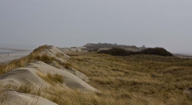 Stuifdijk Rottumerplaat