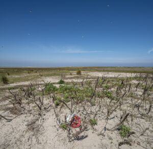 In mijn voetsporen terug 14 © Harry Cock
