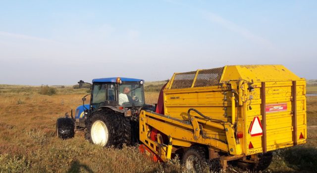 duinlandschap, afplaggen, chopperen