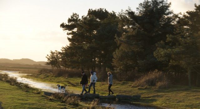 Wandelen op Texel