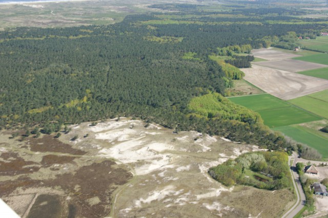 Zuidelijk deel van De Dennen, met rechts de Ockusrichel en Foenteinsnol