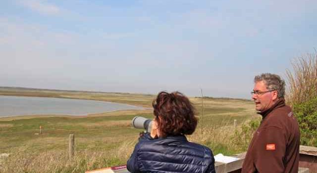 vogelwacht, Slufter, vrijwilliger