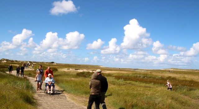 Slufter, Texel, Staatsbosbeheer