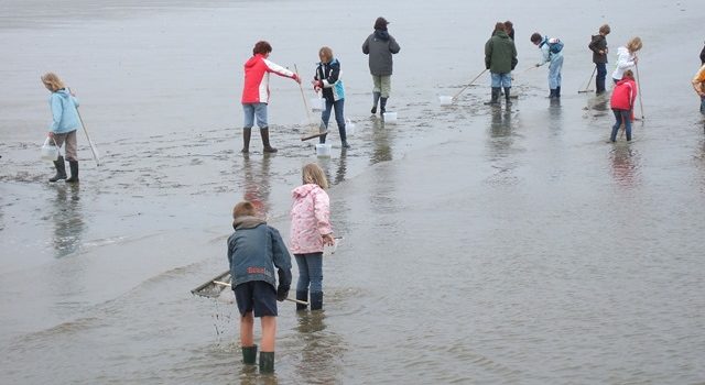 IVN, natuurgids, Texel